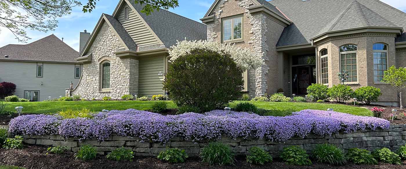 beautiful garden in front of home