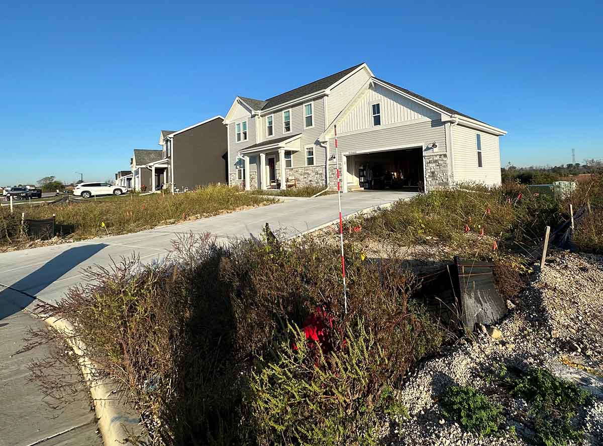 new home landscape
